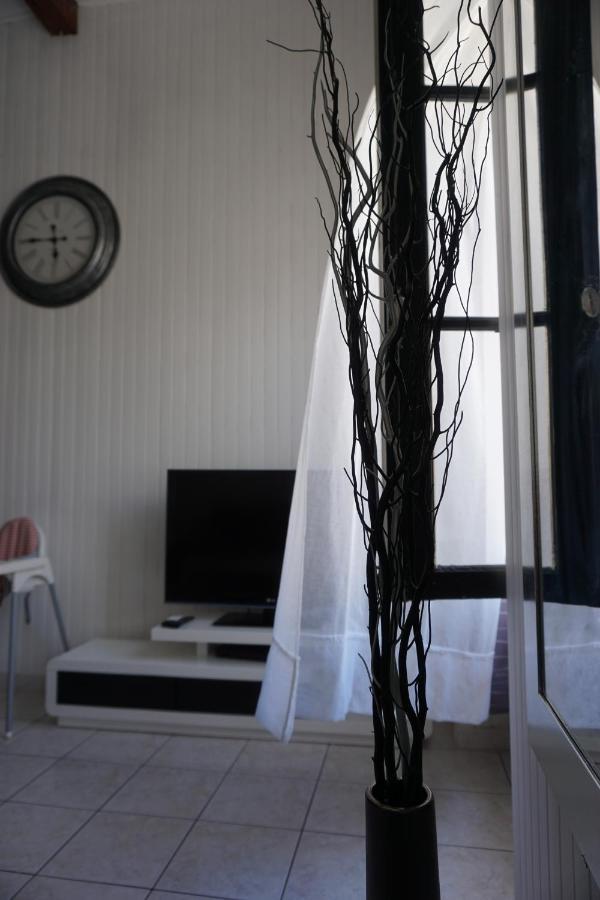 Le Telly-Centre Ville-Petits Prix-Ideal Pour Rayonner Sur La Ville Carcassonne Bagian luar foto